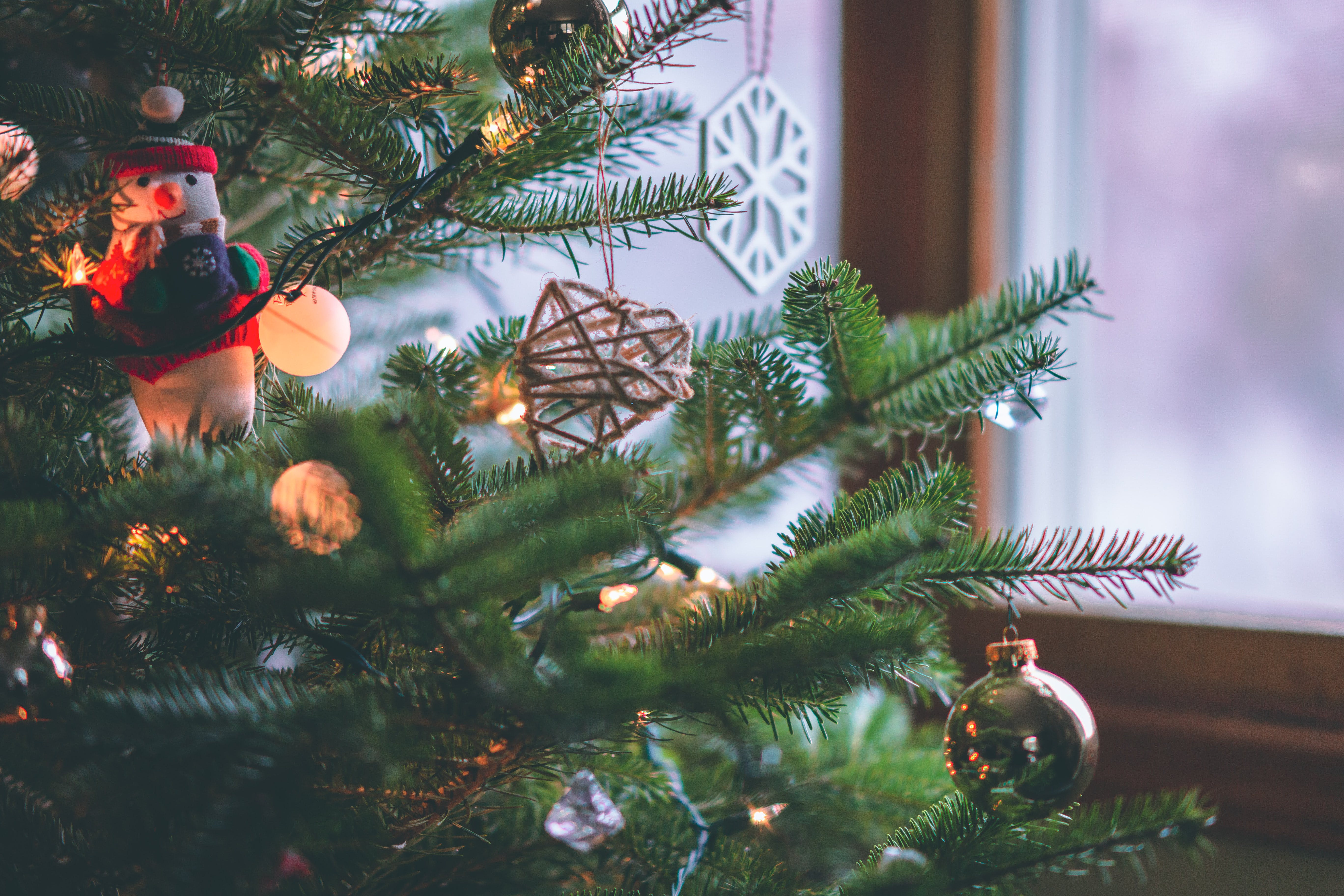 Celebrate a sustainable Christmas with Bertling Logistics