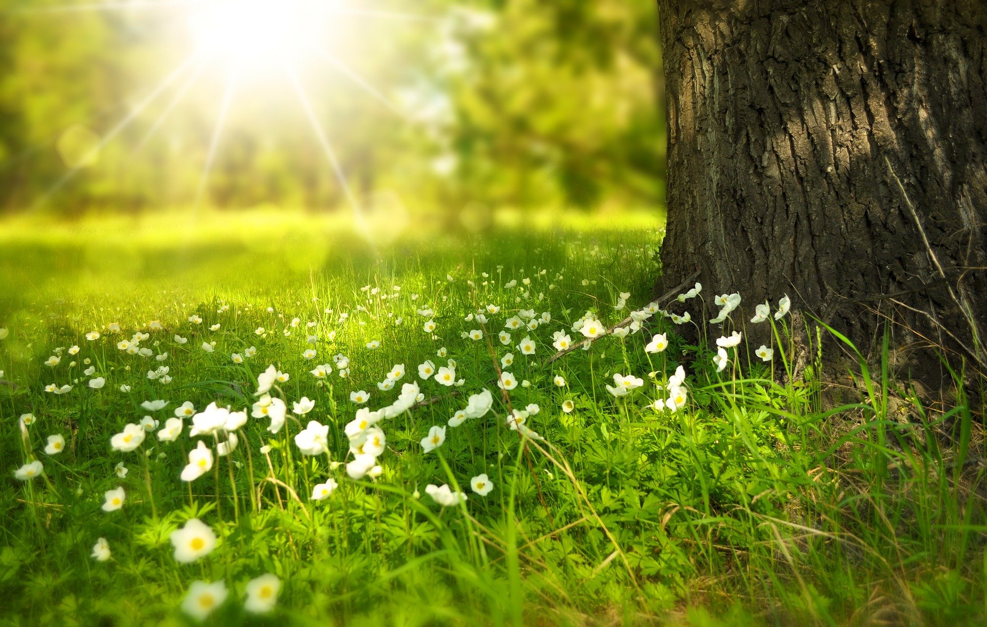 Happy World Rainforest Day from Bertling!