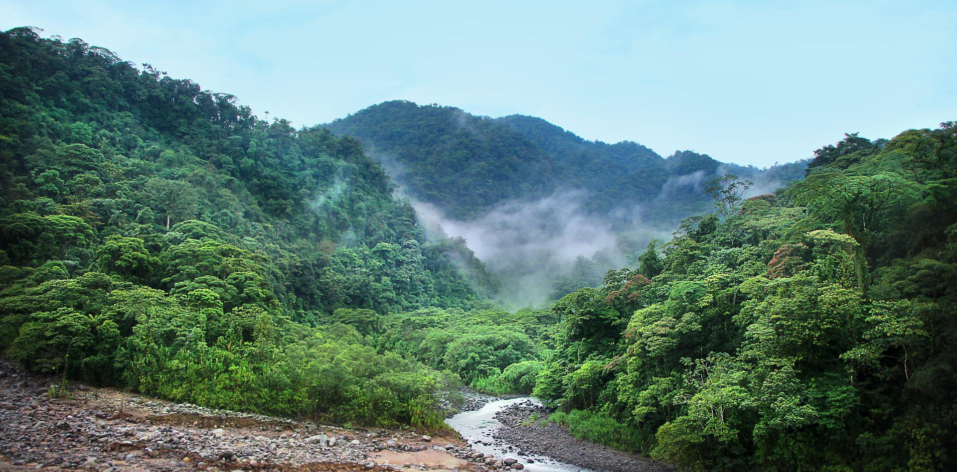 Bertling Logistics supports “Friends of Green Suriname” on World Rainforest Day