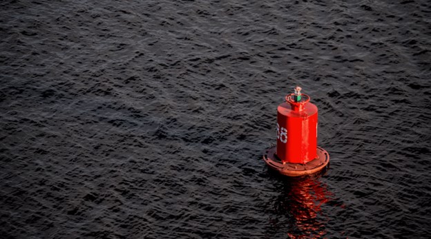 what's driving the 2024 increase in shipping costs?