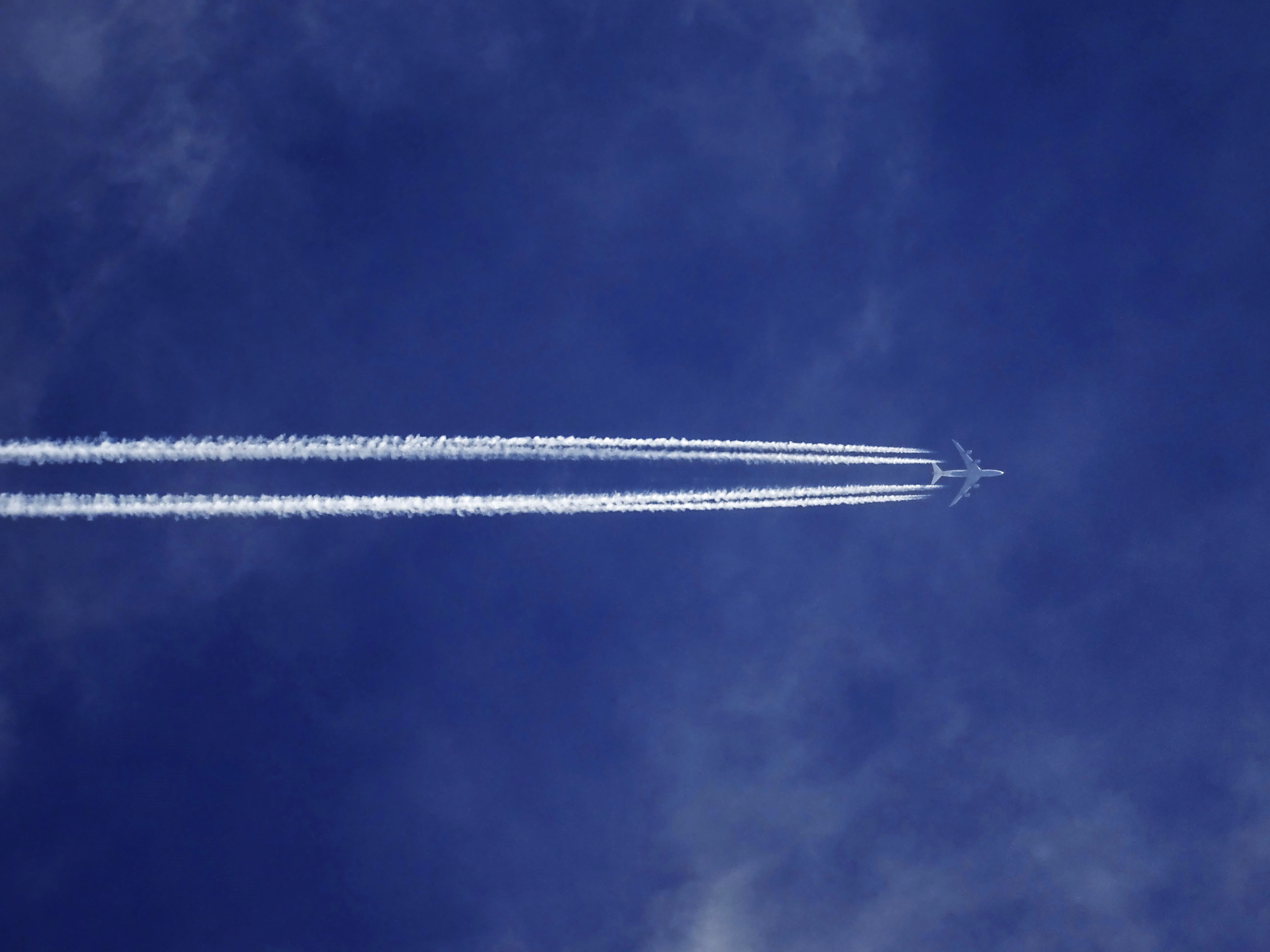 Love is in the air… the impact of Valentine’s Day on air freight