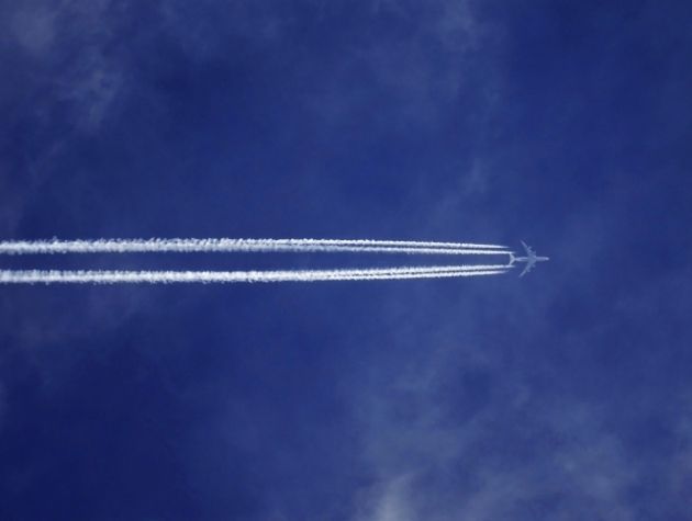 Love is in the air… the impact of Valentine’s Day on air freight