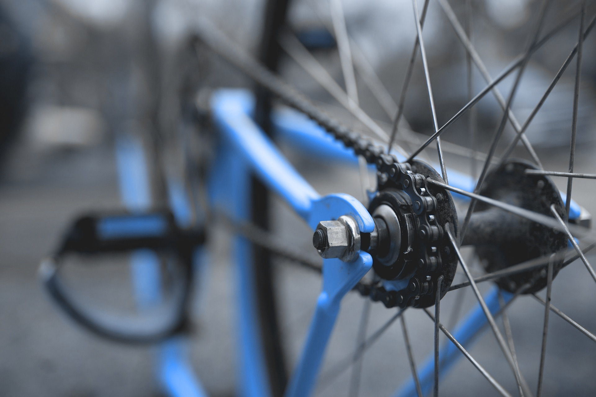 Bertling celebrates World Bicycle Day