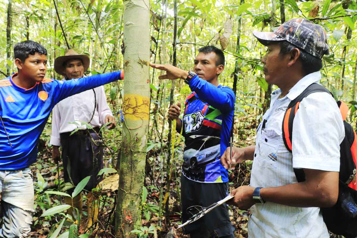 Offsetting projects updated – new project in Colombia added