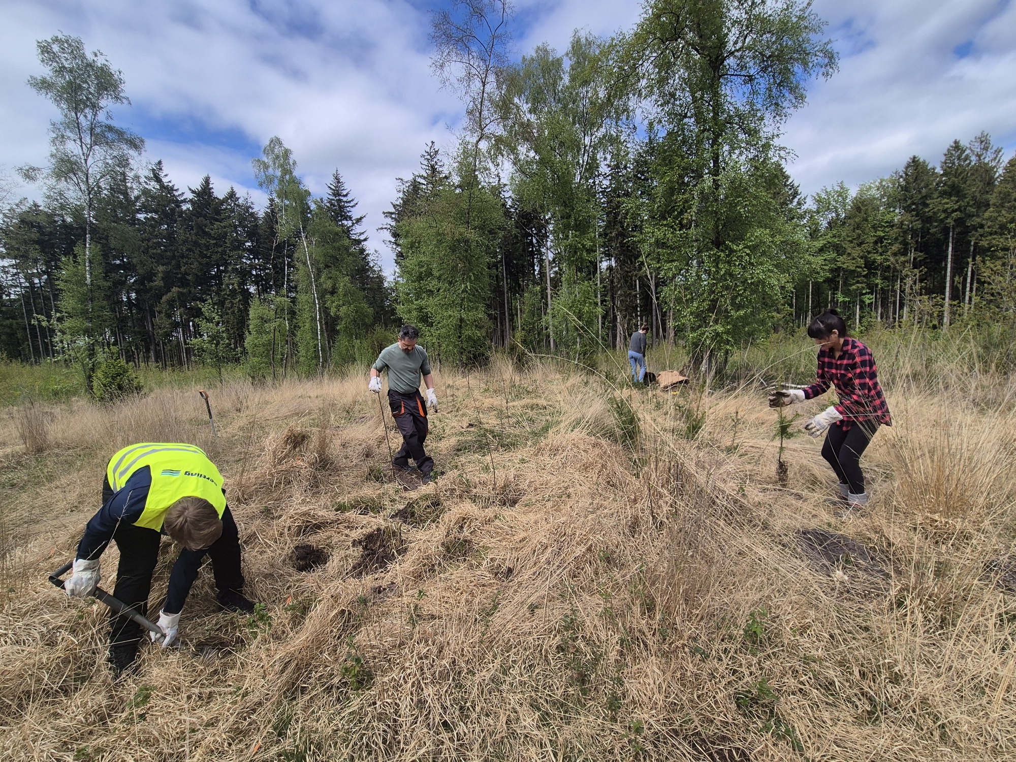 Bertling Logistics joins Tree Planting Initiative in northern Germany 