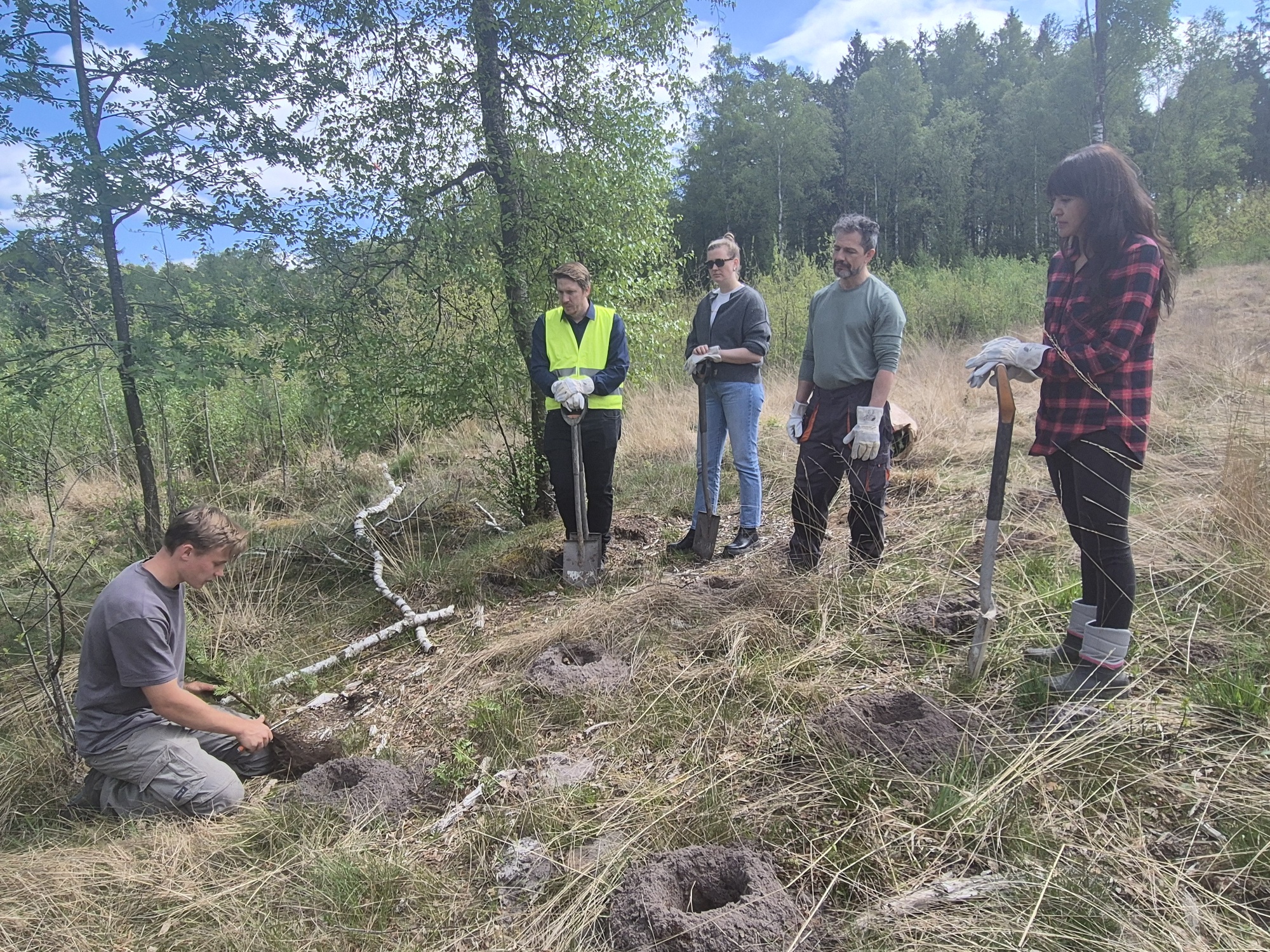 Bertling Logistics joins Tree Planting Initiative in northern Germany 