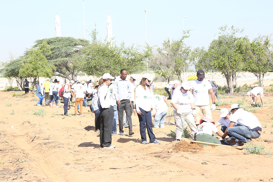 Bertling Dubai participates in tree planting initiative