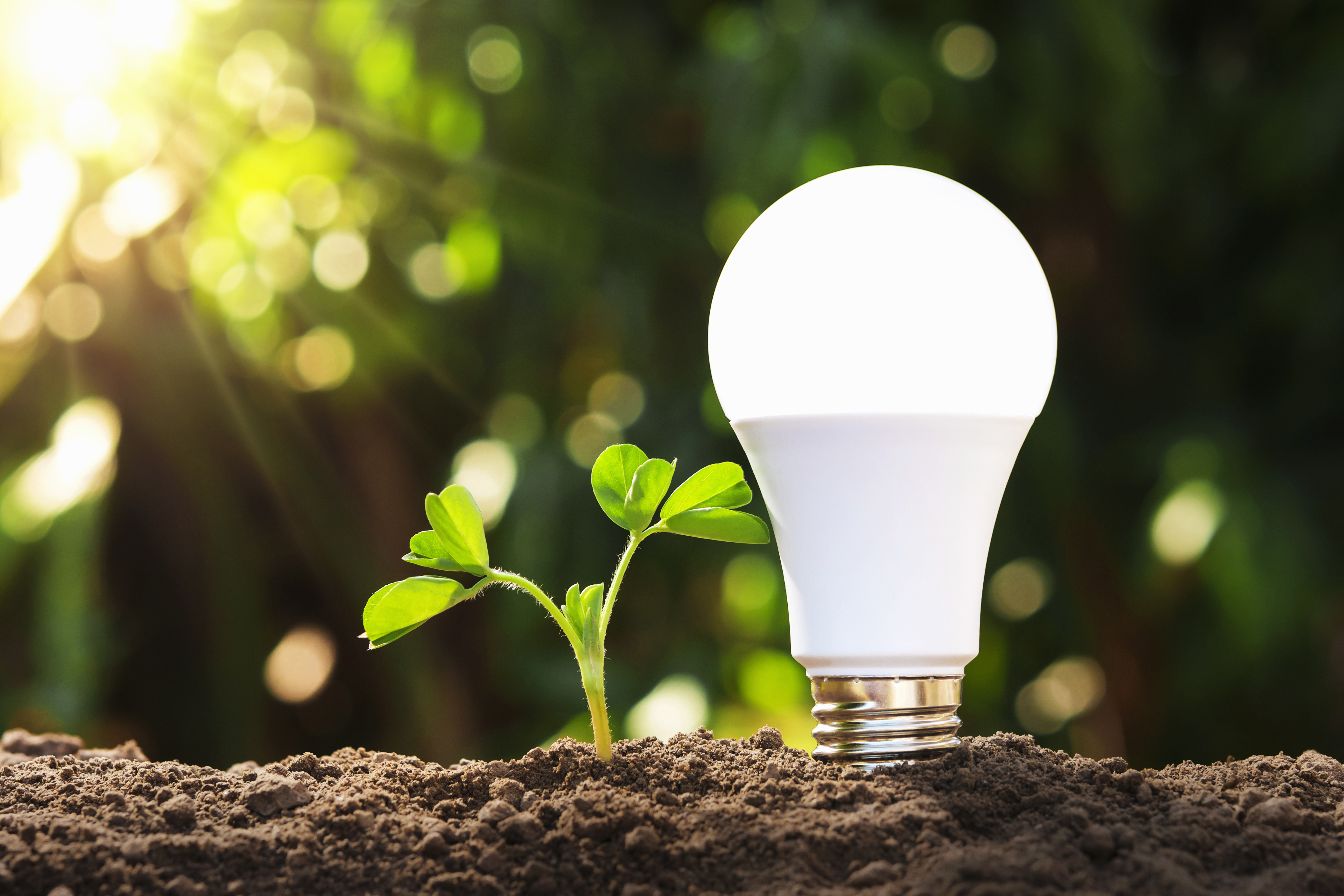World Energy Efficiency Day on 5 March 2024